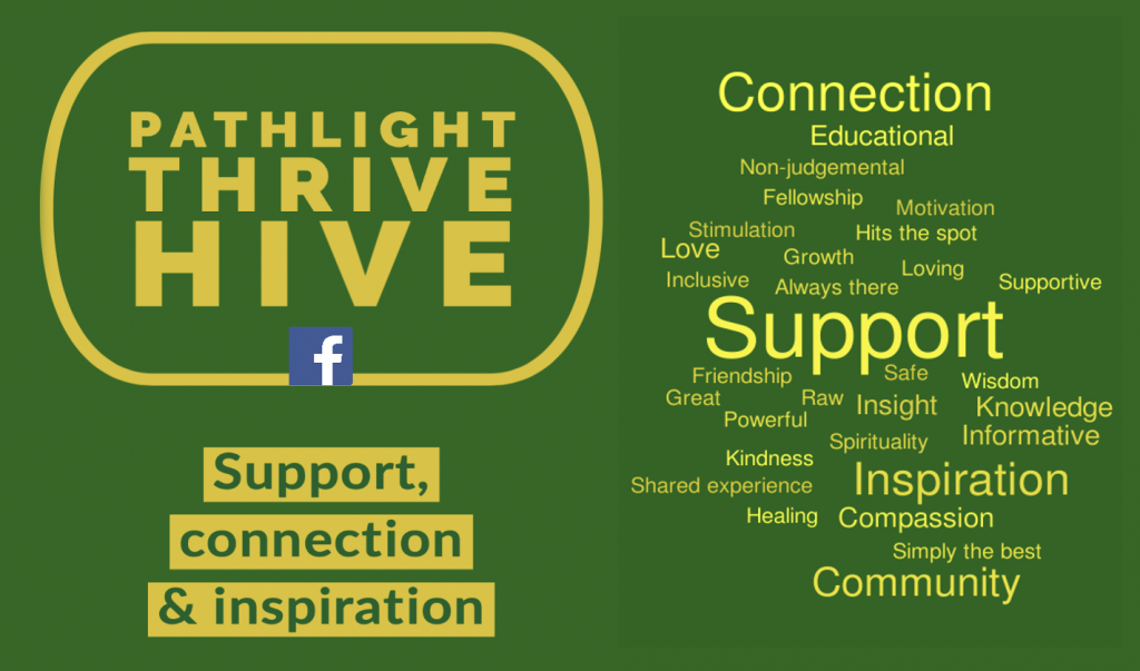 Pathlight Thrive Hive