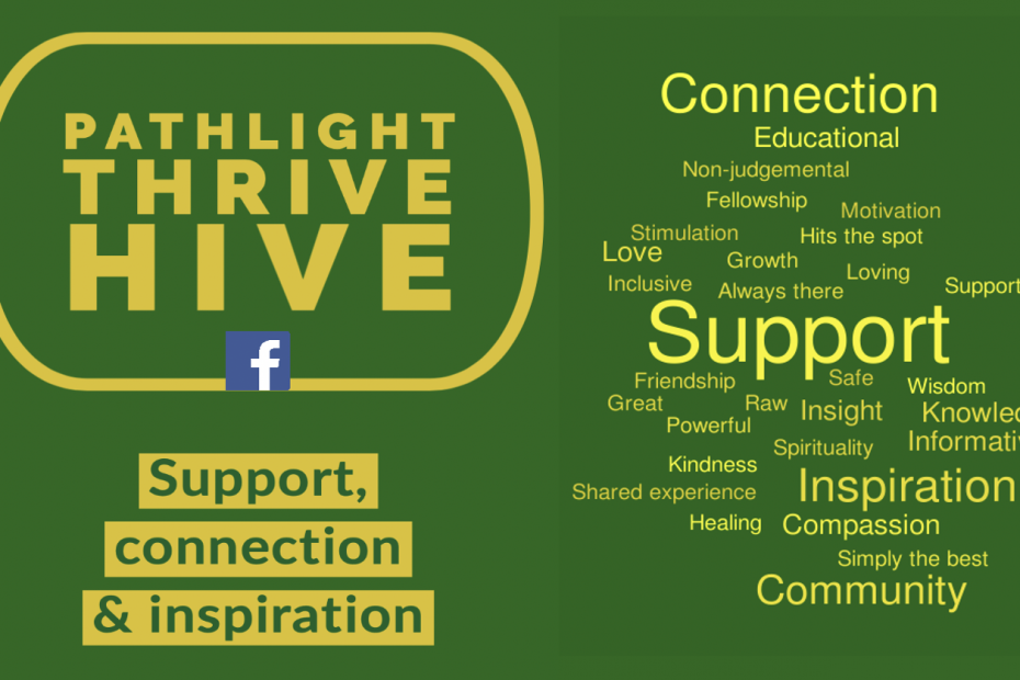 Pathlight Thrive Hive