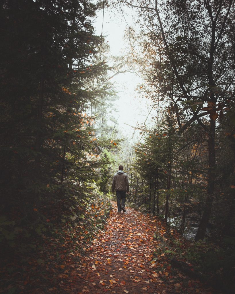 Man walking in woodland