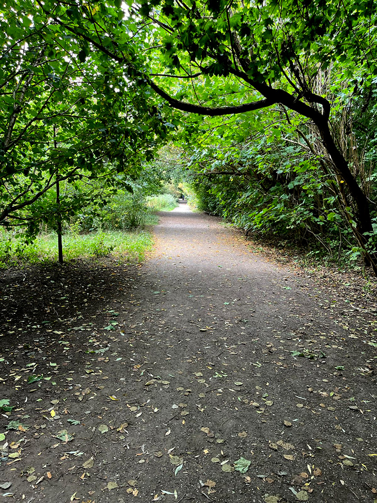 trees
